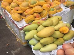 -三亚新鸿港水果一级批发市场