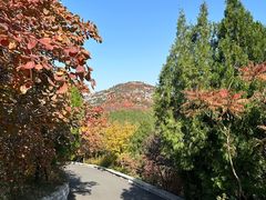 -佛慧山