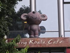 -了不起的考拉咖啡店(高新店)