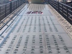 -龙口南山旅游景区