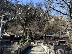 -龙泉寺