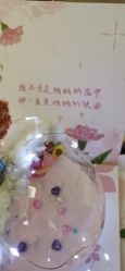 -爱帝宫月子中心(罗湖别墅院)