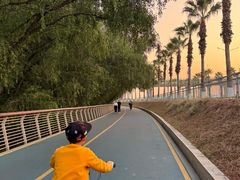 -宝安西湾红树林湿地公园