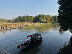 -溱湖国家湿地公园