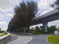 -宝安西湾红树林湿地公园