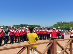 -丁香湖公园