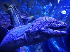 -成都浩海立方海洋公园