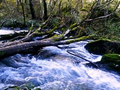 -叠溪松坪沟景区