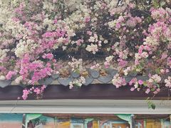 -深圳国际园林花卉博览园