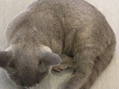 -壹人壹像工作室(购物公园店)
