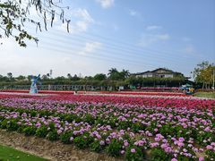 -盈香心动乐园