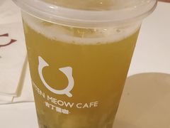 -吉丁鸟咖·异宠·寄养