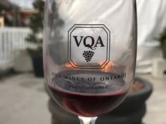 品酒-滨湖尼亚加拉