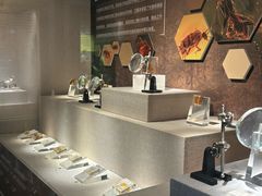 -湖南省地质博物馆