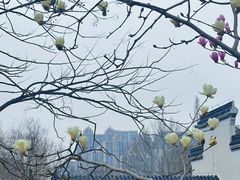 -堤角公园