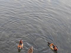 -什刹海