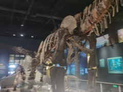 -国家自然博物馆