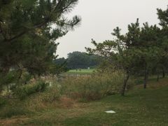 -龙熙温泉高尔夫俱乐部