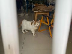 -平行世界·猫咖(首经贸店)