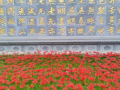 -西安大兴善寺