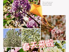 -将太无二·北美传奇寿司(瑞士公寓店)