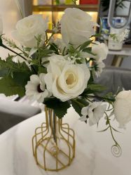 -AiCure 埃可儿·韩国医学皮肤管理