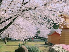 -苏州上方山国家森林公园