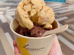 黑巧克力冰淇淋-LUNEURS月乐诗 冰淇淋咖啡(环贸店)