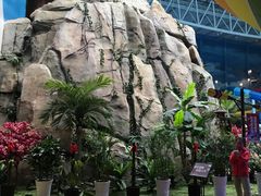 -青岛东方影都融创水世界