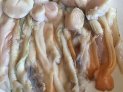 天鹅蛋-东镇老火锅(长春路首店)