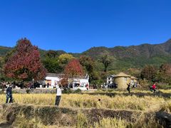 -塔川景区
