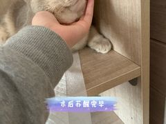 -北京观赏动物医院·24小时大型综合·猫专科·异宠专科