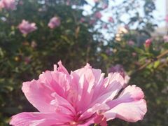 -1点点(大连路店)