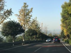 -铁山坪森林公园