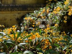 -莫里热带雨林景区