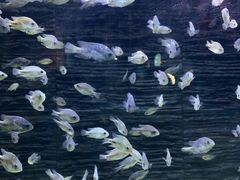 -洛阳龙门海洋馆