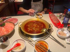 -小龙坎火锅(全球旗舰店)