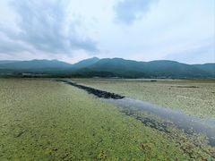 -腾冲北海湿地