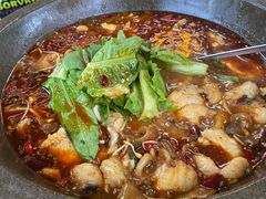 -都江堰石锅鱼
