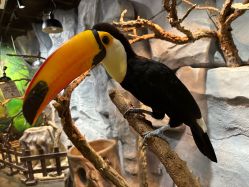 -Zoolung Zoolung动物主题公园(海信广场店)