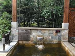 -汉拿山温泉度假酒店