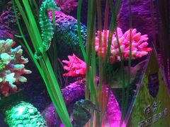 -沈阳海洋探索中心