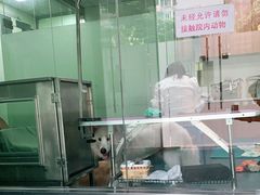 -泰洋动物医院·神经专科·磁共振·CT(天河公园总院)