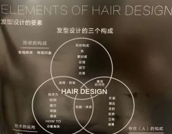 -HAIR POP