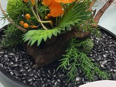 -同庆楼(奥体中心店)