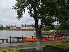 -上海长兴岛郊野公园