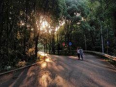 -青龙山国家森林公园