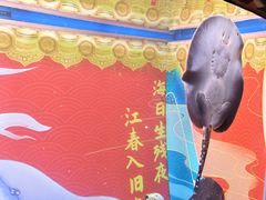 -烟台海昌鲸鲨海洋公园
