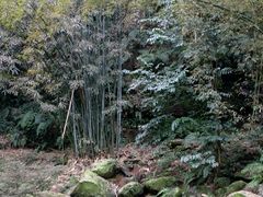 -四洞沟景区