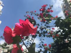 -万达影城(金牛万达广场激光IMAX店)